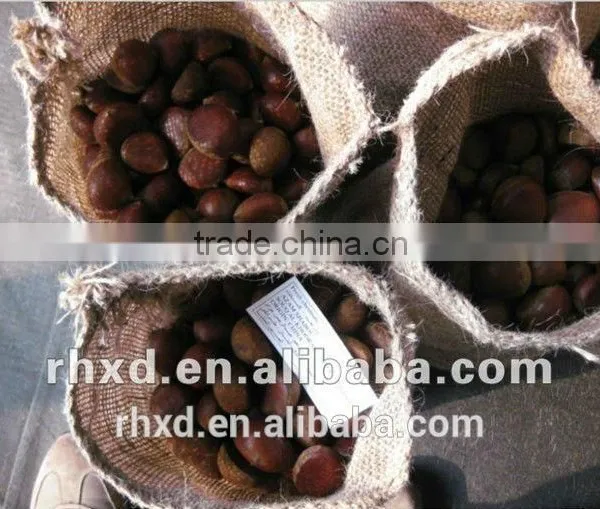 Chinese Raw Chestnuts photo-5