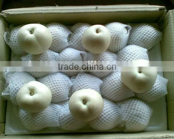 2015 Emerald Pear With Good Taste Exporter in China photo-3