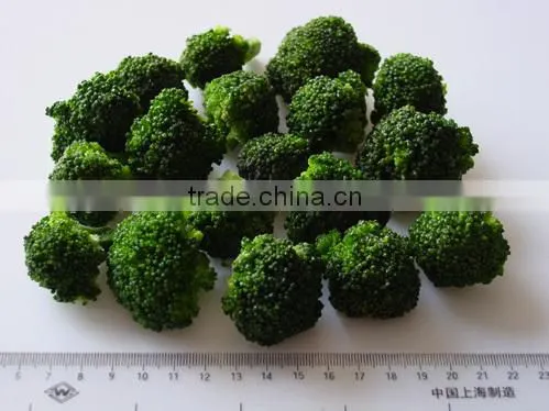 IQF Broccoli photo-5