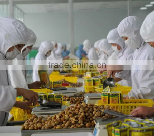 Peeled Roasted Chestnut's Kernels in Soft Canned photo-3