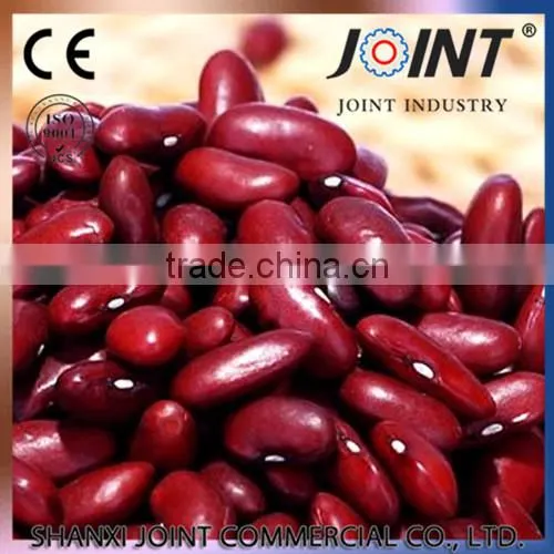 Super March Purchasing Dark Red Kidney Beans/sugar Beans