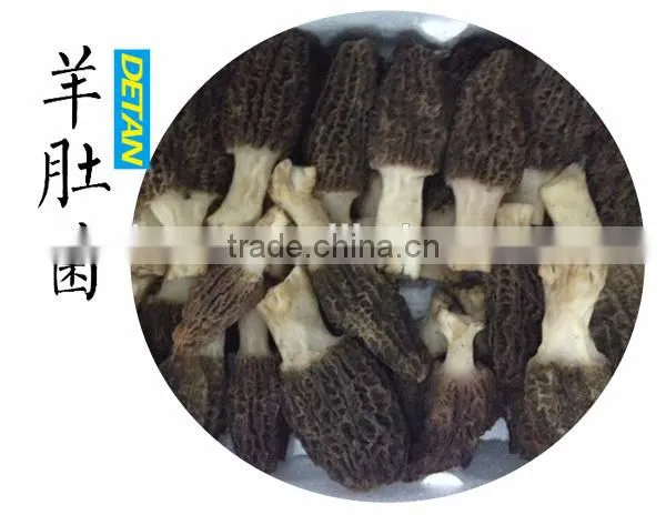 Wild Dried Morchella Vulgaris Grown in Mountain photo-2