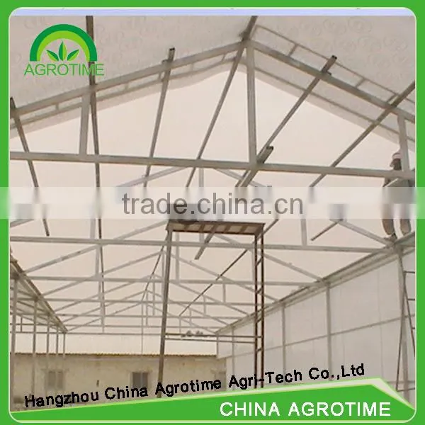 Multi-span Polycarbonate Plastic Sheet Greenhouse for Agriculture photo-3