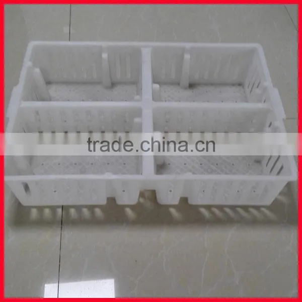 Plastic Chicken Tranport Stackable Cage/box/crate for Child Chicken photo-4