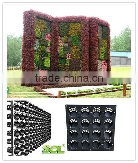 2016 New Garden Design Hydroponic Growing Systems Types of Ornamental Plants photo-3
