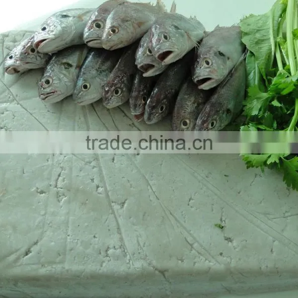 Frozen Mix Fish Surimi photo-3