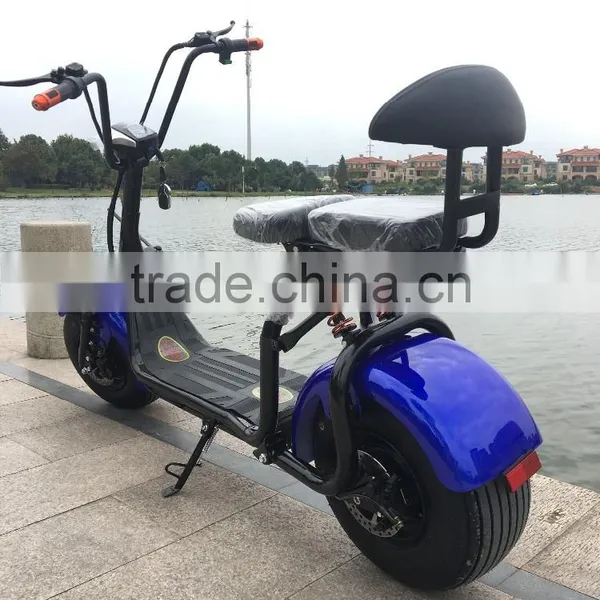 Hot Sale Cool Desigh 1000w 60v Fat Tire Harley Electric Bike photo-3