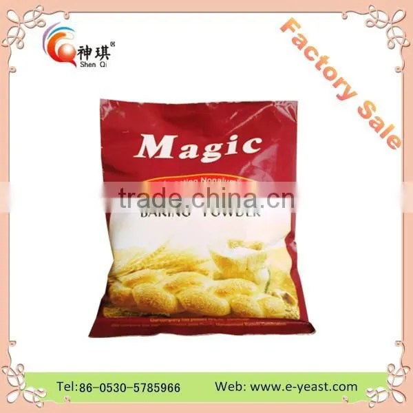 Instant Yeast Production Professional for MIDDLE EAST Market photo-3