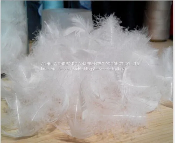 Feather and Down photo-2