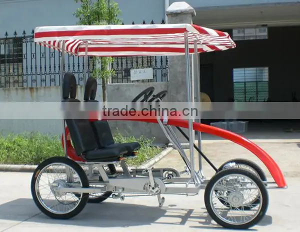 Roadster Surrey Bike