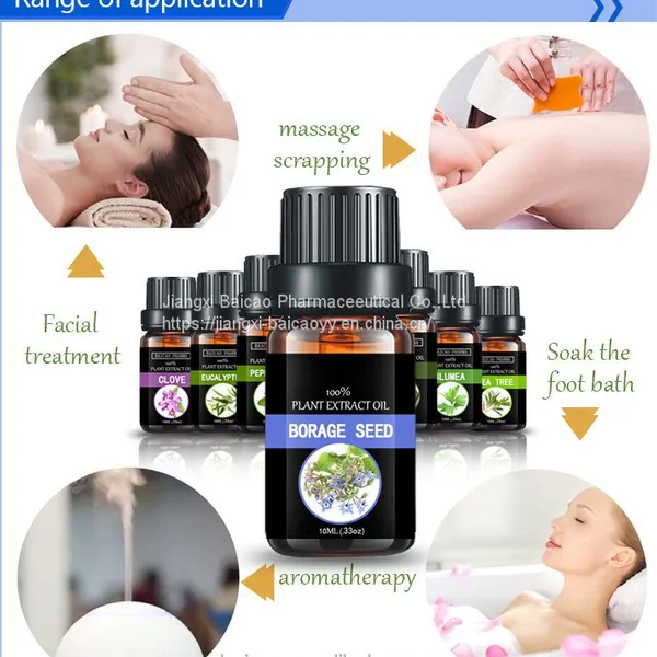 Manufacturer Supply Carrier Oil Borage Oil Pure Natural Base Oil Borage Seed Oil With Best Price photo-4