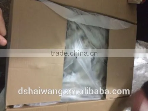 Frozen Sardine Fish Exports photo-4