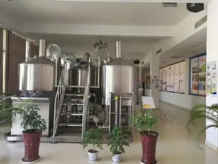 Craft Beer Brewing Equipment With Free Installation and Onsite Training photo-5