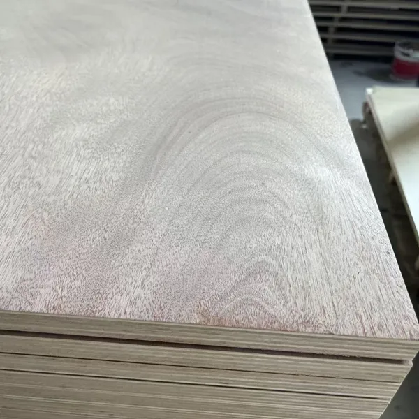 22mm Full Eucalyptus Continuous Core Ultra-Flat Grade AA/AB Multi-Layer Plywood photo-2