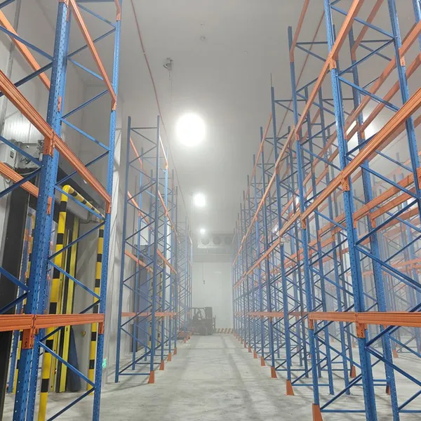 Cold Storage Racking, Heavy Duty Pallet Racking for Low Temperature Warehouse, Moisture & Rust Resistant Cold Room Rack Customized photo-2