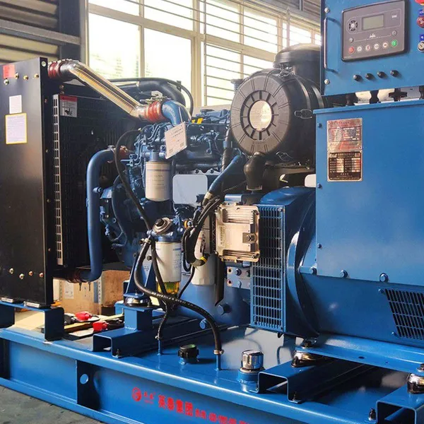 Cheap Price High Quality Diesel Generator Wholesale Bulk Order Genset photo-5