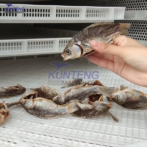 Food Dehydrator Meat Drying Machine Beef Jerky Biltong Chicken Paw Fish and Shellfish Dryer EPC photo-5