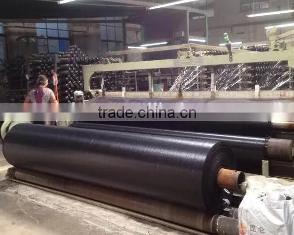 Black/green pp Woven Weed Control Flower Vegetable Gardening Ground Cover Fabricground Cover Fabric