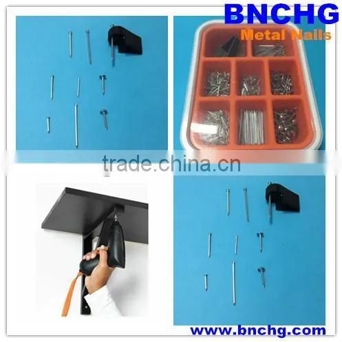 Wholesale Flat Head Stainless Steel Nail Drive Screw Nails photo-3