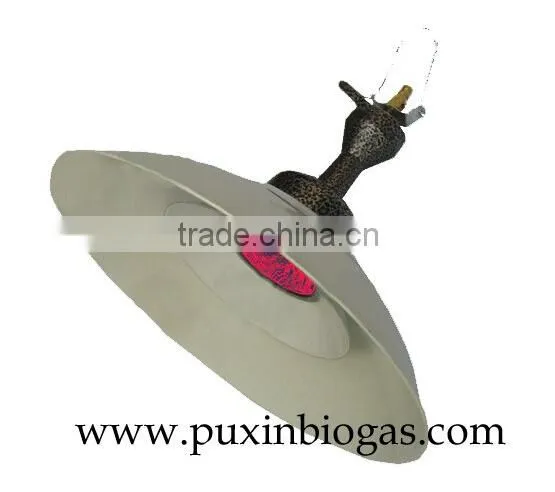 Biogas Balanced Type Gas Water Heater/ Gas Boiler/Water Boiler photo-6
