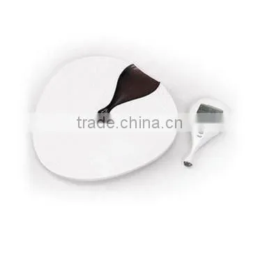 Electronic Bathroom Scale