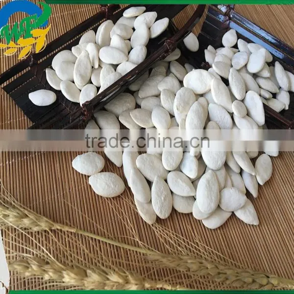 2016 New Crop Chinese Dried Snow White Pumpkin Seeds With Top Quality photo-3