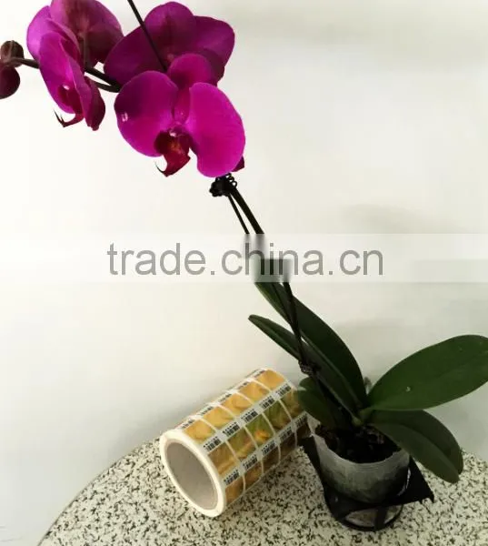 OEM Private Usages Custom Printing Good Price Packing Logo Adhesive Sticker Print photo-3