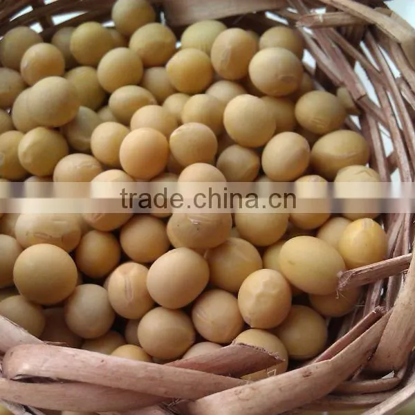 Soybean/soya Bean, Soybean Seeds, Soya Bean Seeds( New Crop, Heilongjiang Origin)