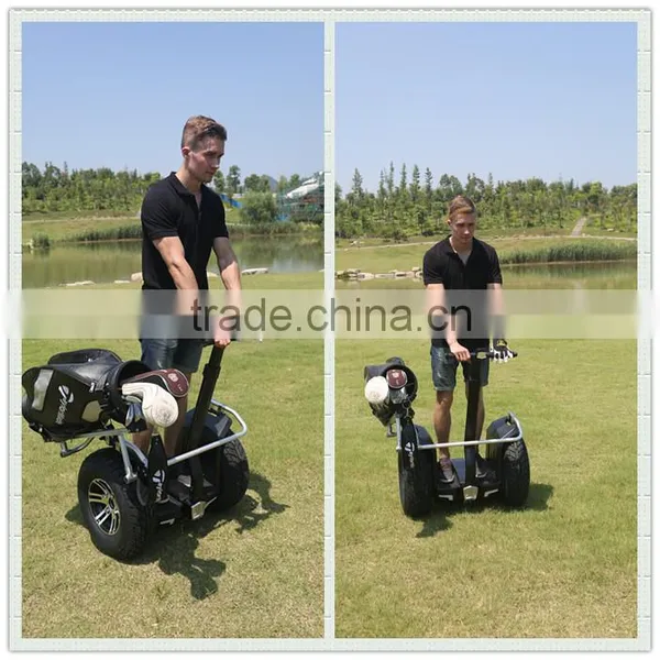 CHIC GOLF no Pollution Electric Golf Cart Competitive Price1000W photo-6