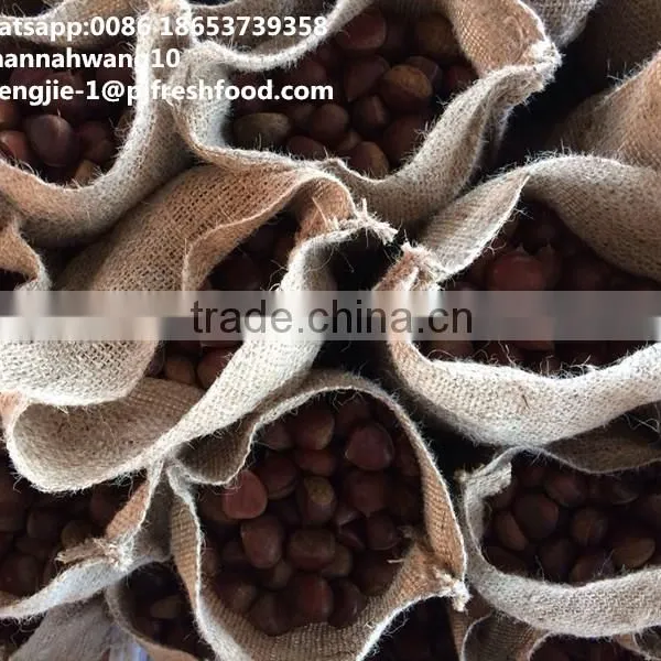2016 New Crop Fresh Chestnuts HACCP Gap Kosher EU Standard photo-4