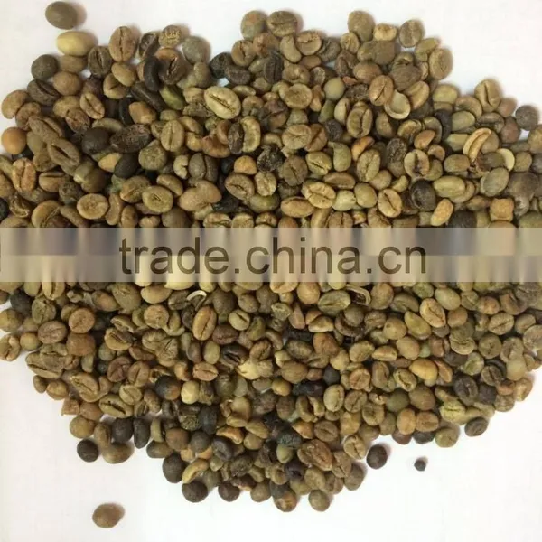 Robusta Green Coffee for Importers photo-2