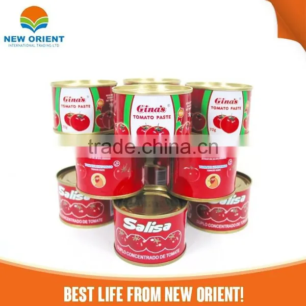 Oem Brand New Orient Aseptic Tomato Paste, Canned Concentrated Tomatoe Ketchup Tin Package photo-2