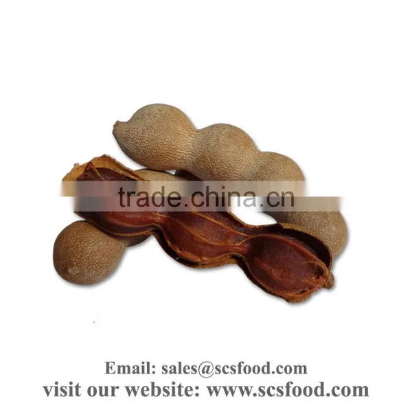 Pasteurized Tamarind Paste (Asam Jawa) photo-3