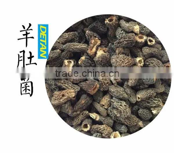 Dried Wild Morchella Conica photo-6