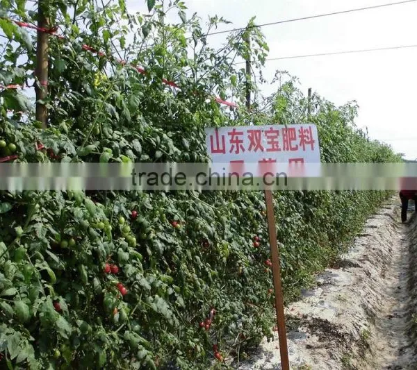 Organic Soluble Fulvic Acid Organic Fertilizer photo-5