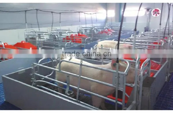 2017 Sow Pig Farrowing Crate for Sale photo-2