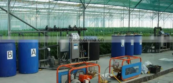 NFT System photo-4