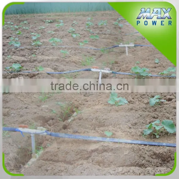 Drip Hose for Hungary Agricultural Land Irrigation photo-2
