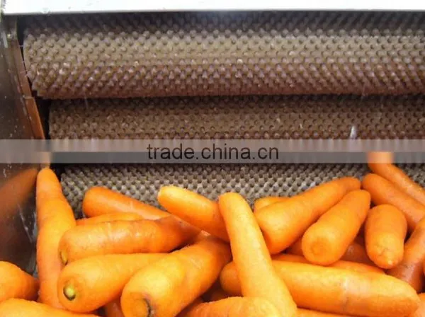 Carrot Washing Peeling Prodcution Line Processing Line photo-3