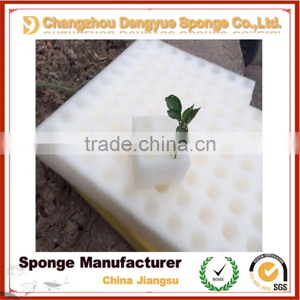 Family Farm Organic Cultivation Eco-friendly Moisture Retain Healthy Planting Foam photo-4