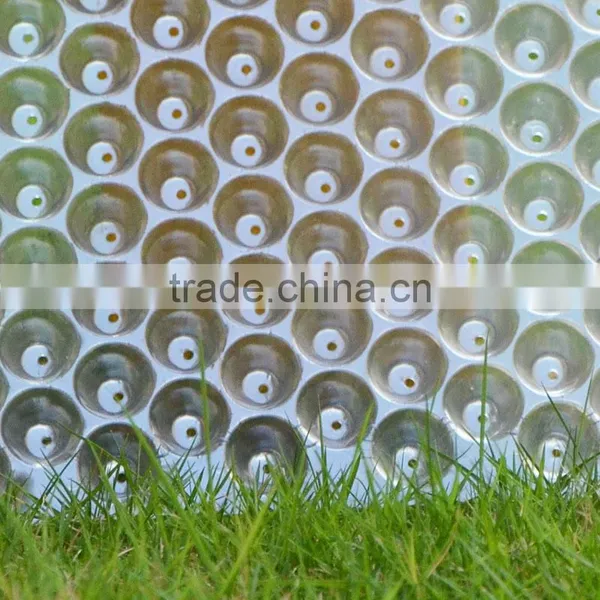 353 Cell Clear Plastic Seed Tray for Rice Seedling, Hydroponic Tray, 75g photo-4