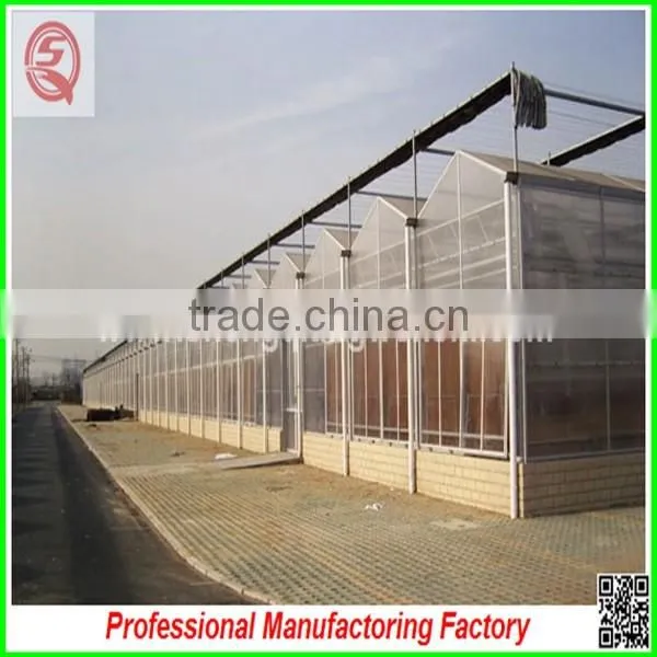Large Muti-span Hydroponical Polycarbonate Sheet Greenhouses From China Manufacturer photo-3