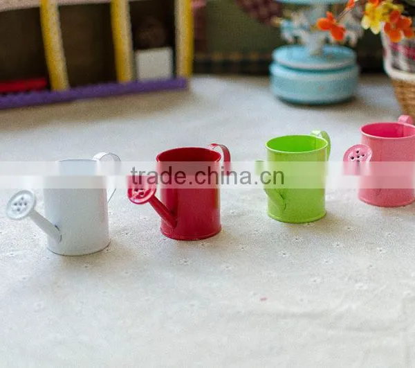Cheap Small Indoor 2 or 2.5 Inches White Metal Flower Watering Can Mini Planter for Succulents photo-2
