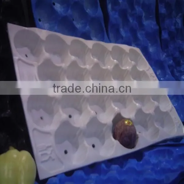 PP 30# /36# 29*49cm Kiwi Punnet Tray photo-6