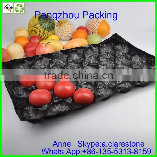 Pengzhou Plastic Mushroom Tray photo-3