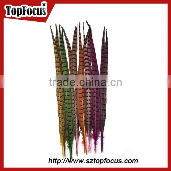 50-55 CM Natural Bulk Ringneck Tail Pheasant Feathers for Wedding Decoration photo-3