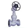 Pressure Seal Globe Valve