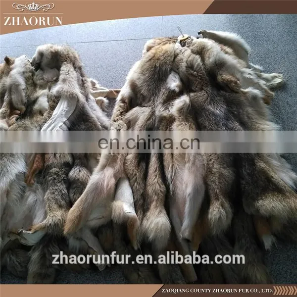 Whole Coyote Skin Coyote Fur for Garment photo-2
