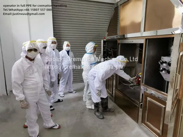 Cremation Equipment Crematory Machine Kremasi Machine Krematorium Oven Crematory Equipment no Smoke Furnace