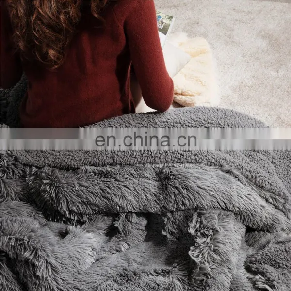 Throw Twin Double Sided 100% Polyester Travel PV Fleece Blanket photo-4